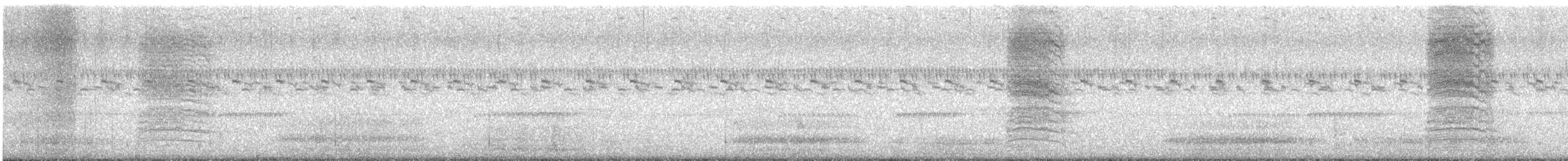 Miaulari grisa - ML644678320