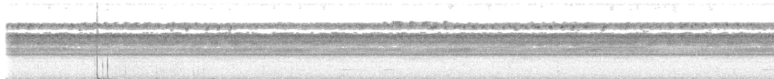 Black-and-white Owl - ML644678948