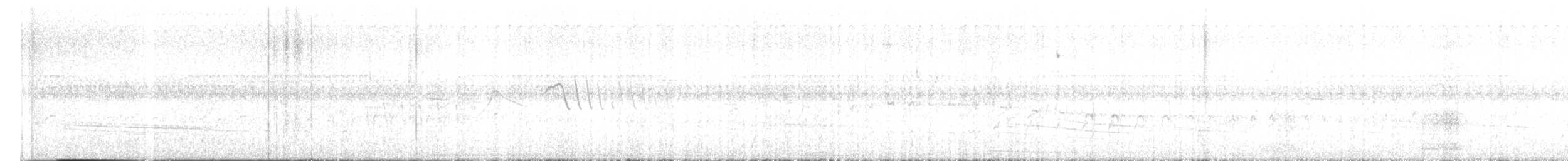 Zebrazwergspecht - ML644679199