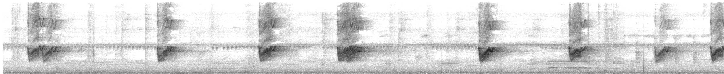 Savanna Nightjar - ML644679267