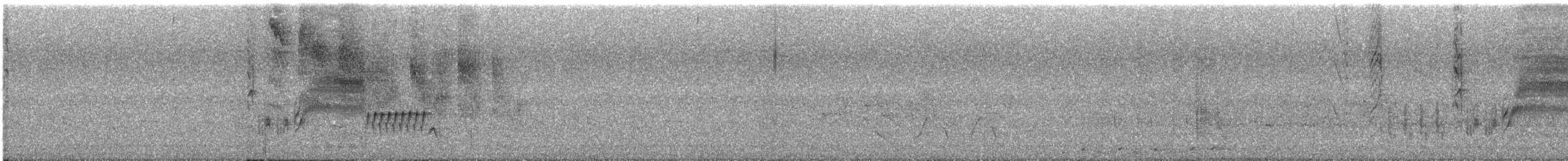 Southern House Wren - ML644679759