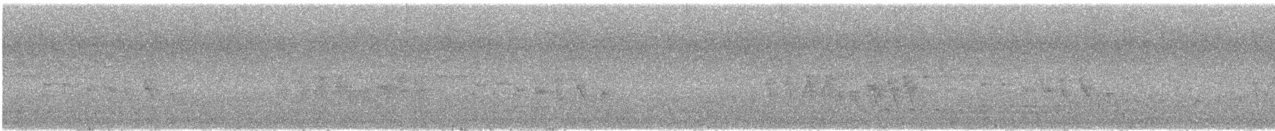 Two-banded Warbler - ML644679841