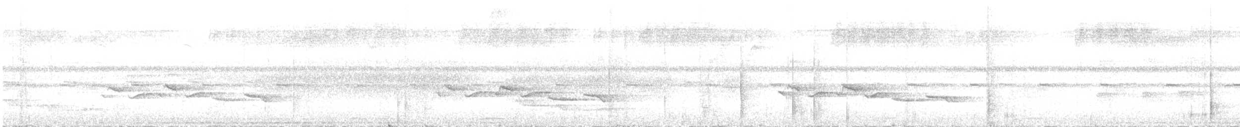 White-breasted Wood-Wren - ML644679914