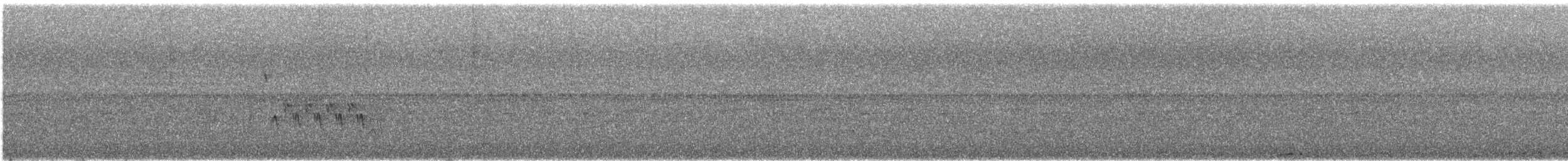 Southern House Wren - ML644679976