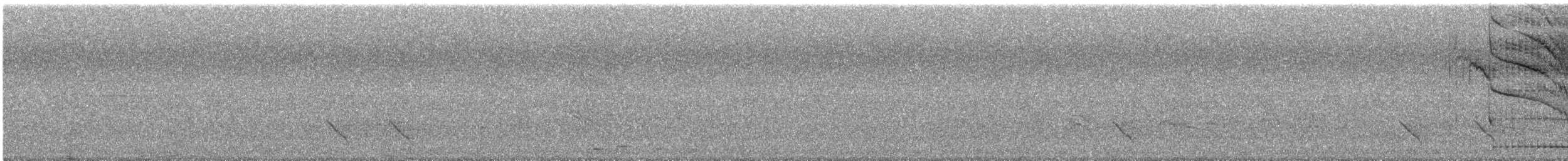 Cassique huppé - ML644680612