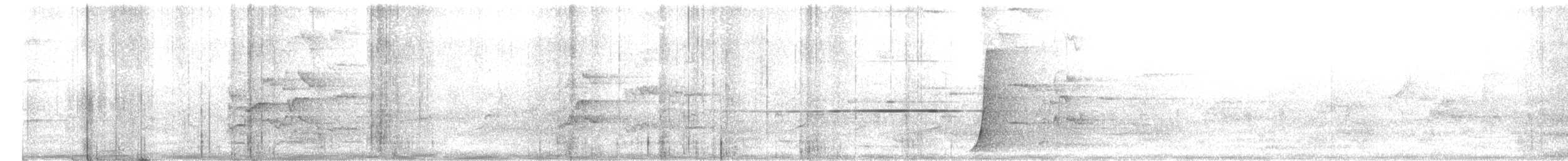 Psophode à tête noire - ML644680649