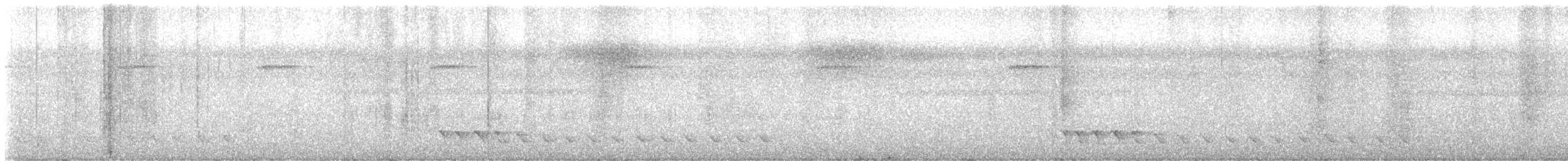 Grallaire à lunettes (perspicillatus) - ML644680743