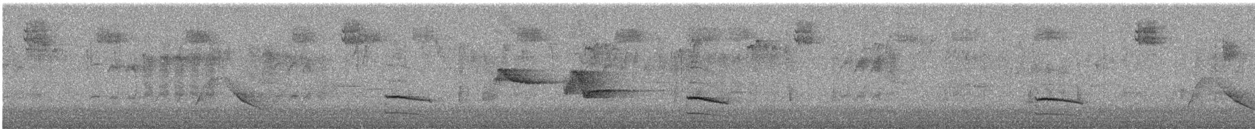 Actinodure de Taïwan - ML644680774