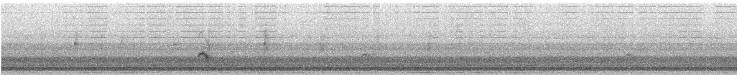 dlask žlutočelý (typ 3) - ML644680859