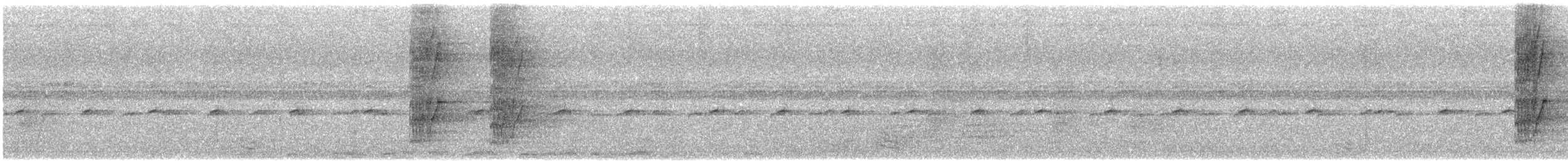 Pione à tête bleue - ML644680874