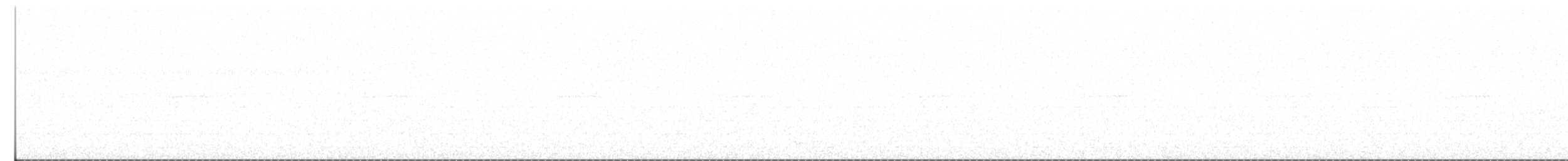 Petit-duc choliba - ML644680878