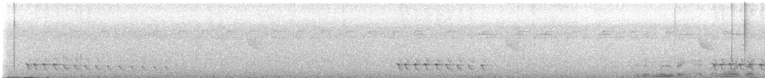 Grallaire à lunettes (perspicillatus) - ML644680903