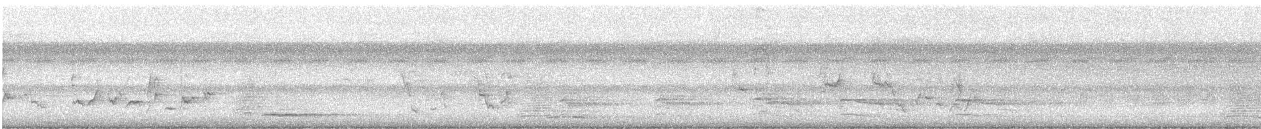 Troglodyte de Caroline - ML644681053