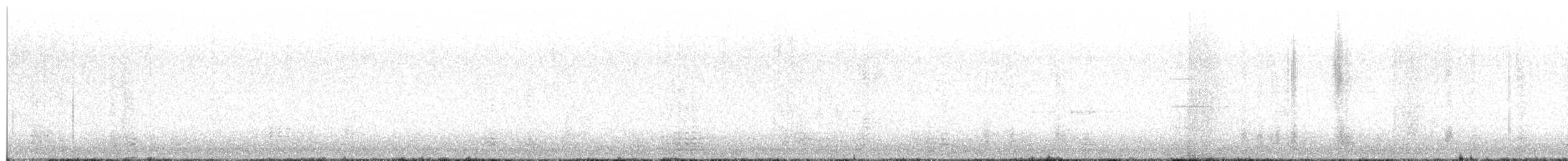 berneška tmavá - ML644681135