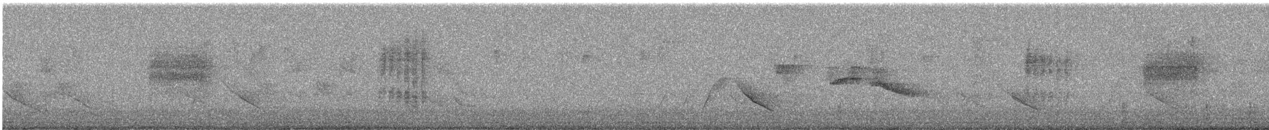 Taiwan Barwing - ML644681405