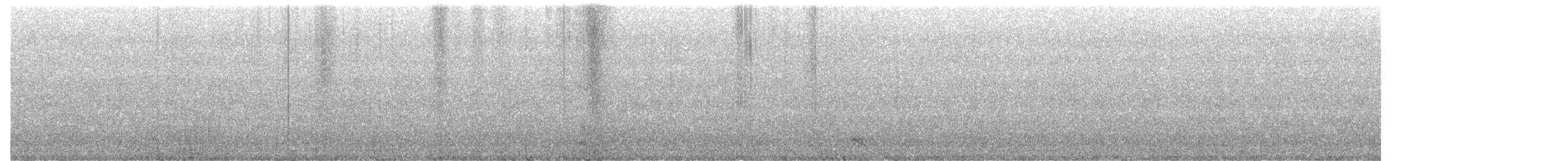 sýc americký - ML644681527