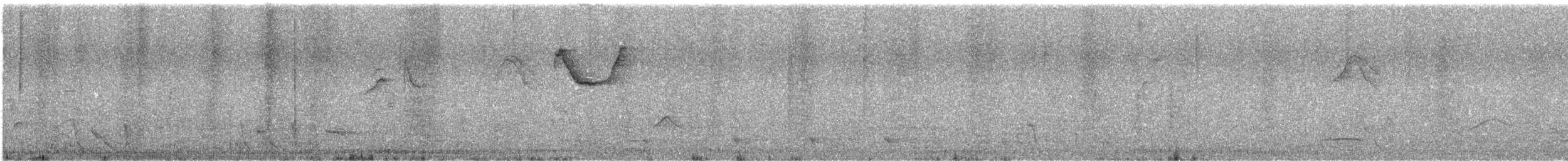 passerine sp. - ML644681650