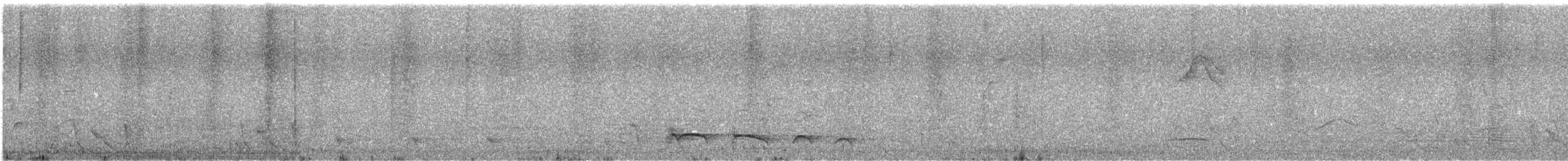 Spot-backed Puffbird - ML644681656