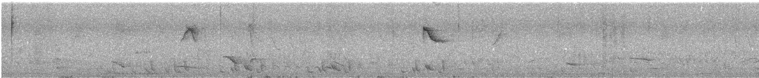 Thrush-like Wren - ML644681669