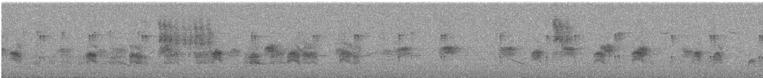 Actinodure de Taïwan - ML644681701