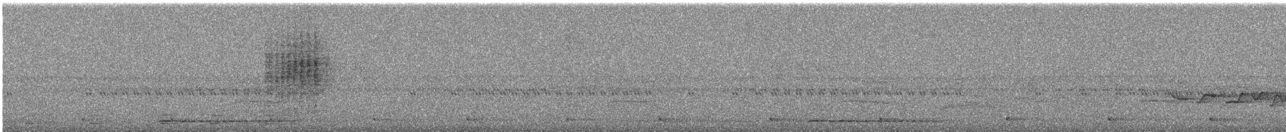 Taiwan Barwing - ML644681799