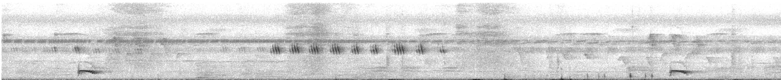 Chevêchette de jungle - ML644681824