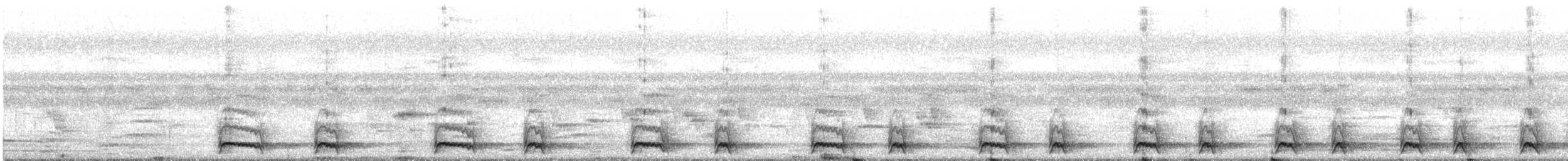 Chevêchette de jungle - ML644681833