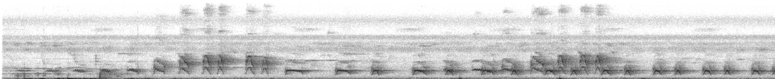 Chevêchette de jungle - ML644681838