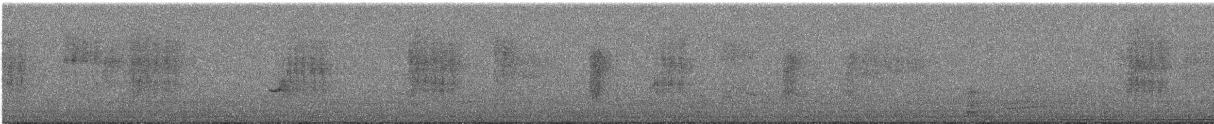 Taiwan Barwing - ML644681867