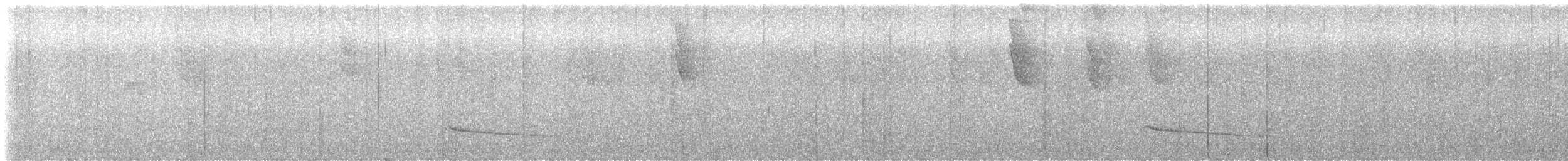 Black-breasted Puffbird - ML644681921