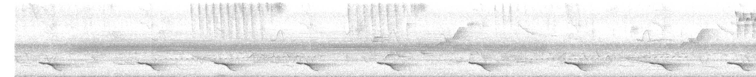 Дроздовидная кео - ML644682136