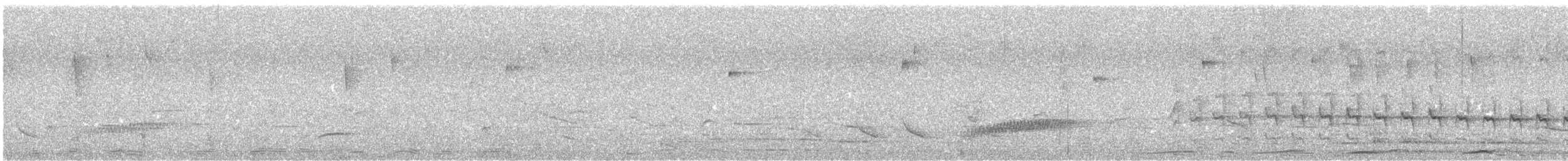 Picazuro Pigeon - ML644682209