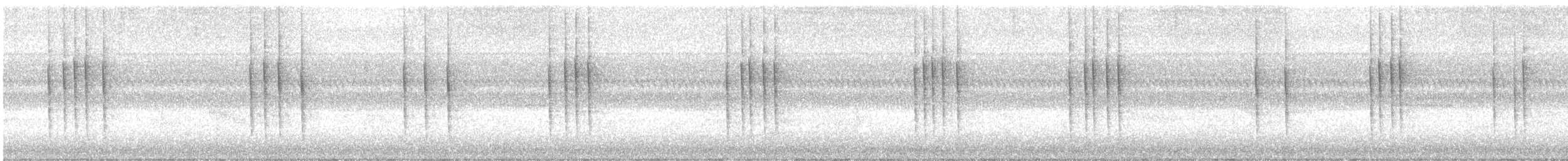 フユミソサザイ - ML644682215