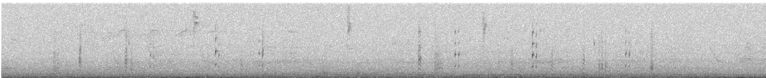 tirika bělokřídlý - ML644682316