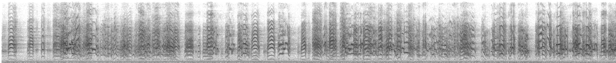 Cordilleran Parakeet - ML644682326