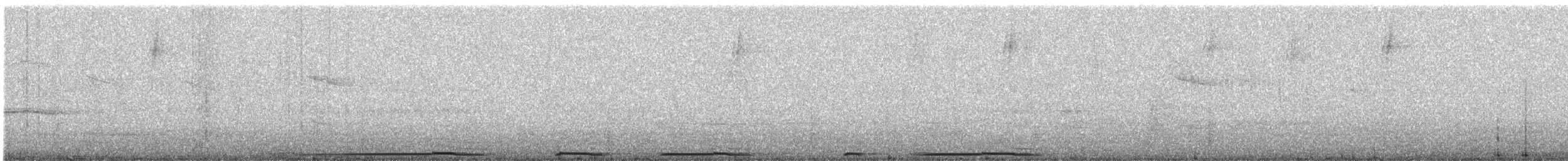 hrdlička pacifická - ML644682336