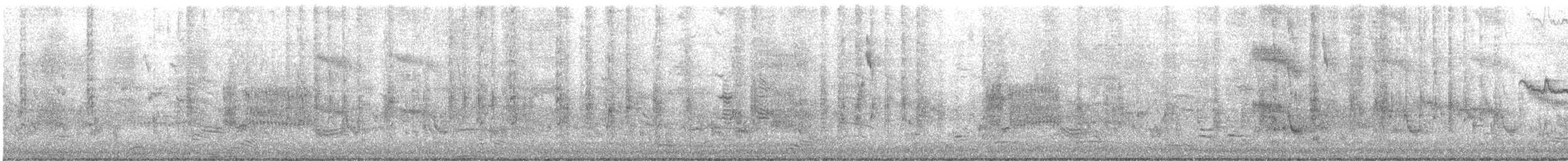 Boat-tailed Grackle - ML644682459