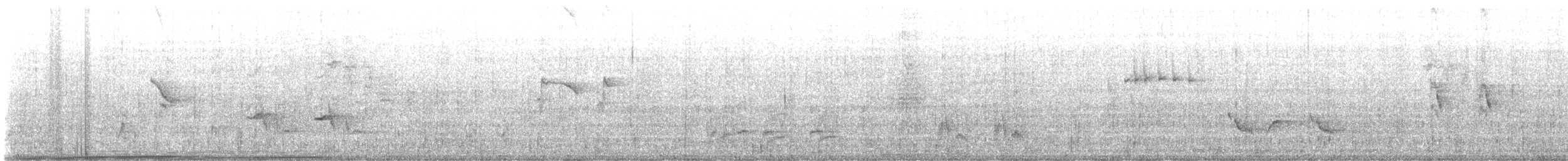 Brown Thrasher - ML644682680