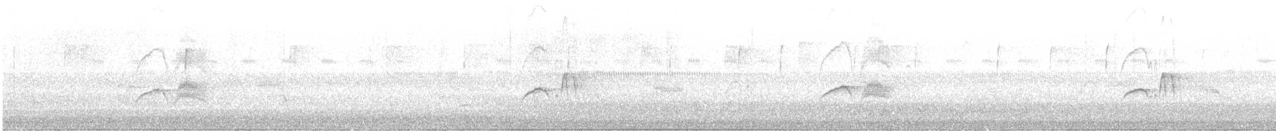 Eastern Phoebe - ML644682809