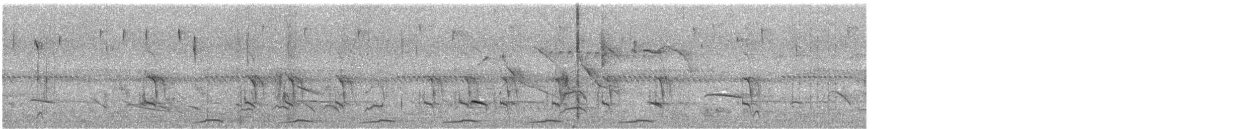 picuidue - ML644682880