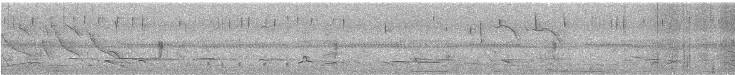 chopitrupial - ML644682888