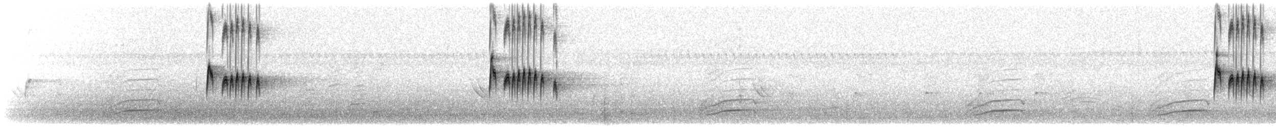 tropekongetyrann - ML644682889