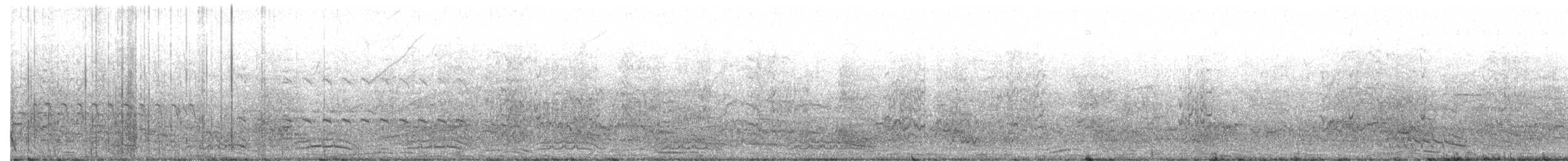 Red-crowned Amazon - ML644682912