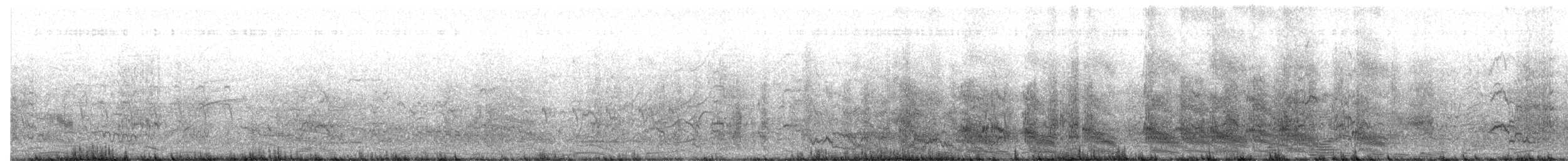 Red-crowned Amazon - ML644682914