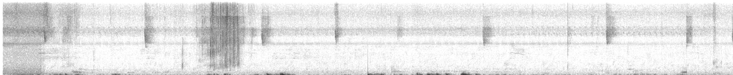 new world warbler sp. - ML644682916