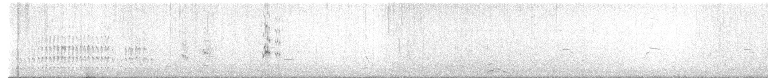 Black Turnstone - ML644683199