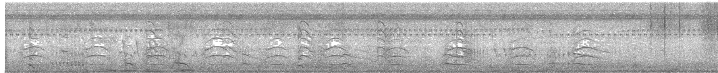 Courlan brun - ML644683458