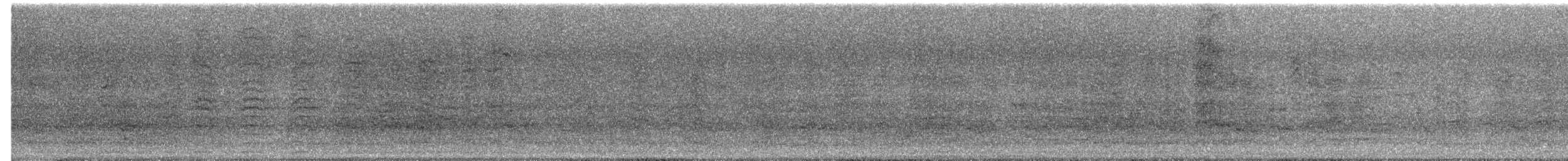 rødflekkparakitt - ML644683971