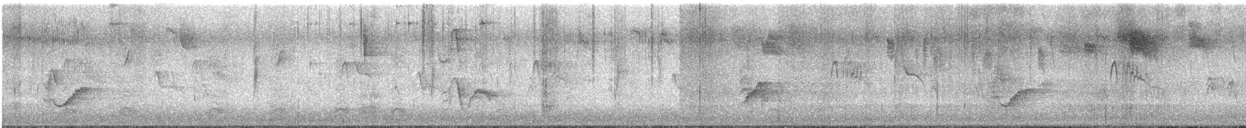 Plumbeous Vireo - ML644683984