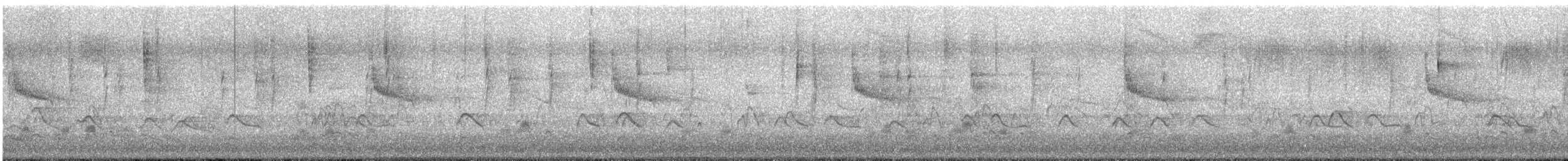 Cassin's Kingbird - ML644684014